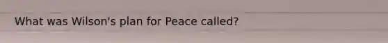 What was Wilson's plan for Peace called?