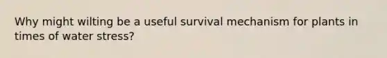 Why might wilting be a useful survival mechanism for plants in times of water stress?