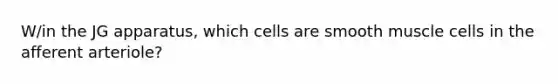 W/in the JG apparatus, which cells are smooth muscle cells in the afferent arteriole?