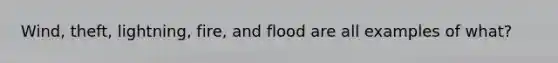 Wind, theft, lightning, fire, and flood are all examples of what?