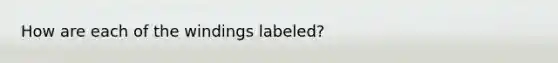 How are each of the windings labeled?