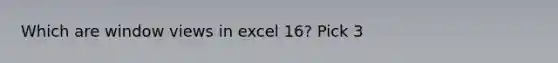 Which are window views in excel 16? Pick 3