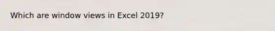 Which are window views in Excel 2019?