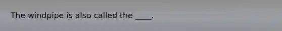 The windpipe is also called the ____.