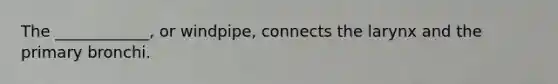 The ____________, or windpipe, connects the larynx and the primary bronchi.