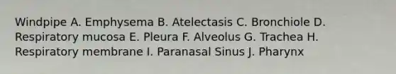 Windpipe A. Emphysema B. Atelectasis C. Bronchiole D. Respiratory mucosa E. Pleura F. Alveolus G. Trachea H. Respiratory membrane I. Paranasal Sinus J. Pharynx