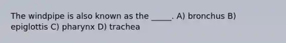 The windpipe is also known as the _____. A) bronchus B) epiglottis C) pharynx D) trachea