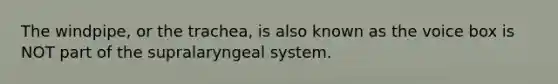 The windpipe, or the trachea, is also known as the voice box is NOT part of the supralaryngeal system.