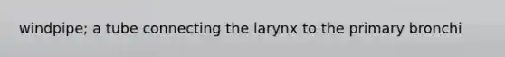 windpipe; a tube connecting the larynx to the primary bronchi