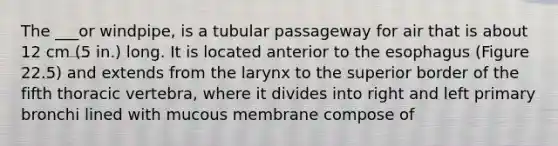 The ___or windpipe, is a tubular passageway for air that is about 12 cm (5 in.) long. It is located anterior to the esophagus (Figure 22.5) and extends from the larynx to the superior border of the fifth thoracic vertebra, where it divides into right and left primary bronchi lined with mucous membrane compose of