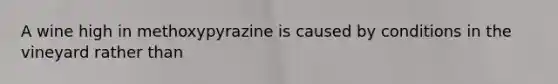 A wine high in methoxypyrazine is caused by conditions in the vineyard rather than