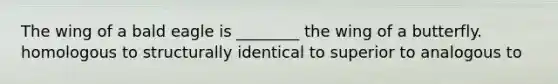 The wing of a bald eagle is ________ the wing of a butterfly. homologous to structurally identical to superior to analogous to