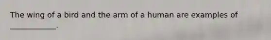 The wing of a bird and the arm of a human are examples of ____________.