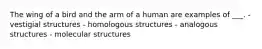 The wing of a bird and the arm of a human are examples of ___. - vestigial structures - homologous structures - analogous structures - molecular structures