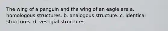 The wing of a penguin and the wing of an eagle are a. homologous structures. b. analogous structure. c. identical structures. d. vestigial structures.