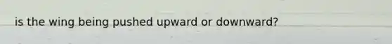 is the wing being pushed upward or downward?