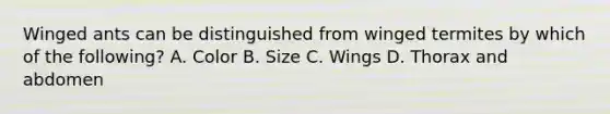 Winged ants can be distinguished from winged termites by which of the following? A. Color B. Size C. Wings D. Thorax and abdomen