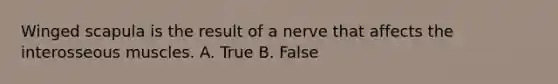 Winged scapula is the result of a nerve that affects the interosseous muscles. A. True B. False