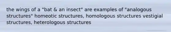 the wings of a "bat & an insect" are examples of "analogous structures" homeotic structures, homologous structures vestigial structures, heterologous structures