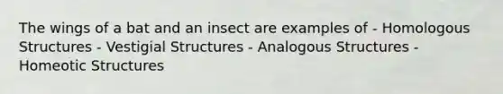 The wings of a bat and an insect are examples of - Homologous Structures - Vestigial Structures - Analogous Structures - Homeotic Structures