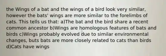 the Wings of a bat and the wings of a bird look very similar, however the bats' wings are more similar to the forelimbs of cats. This tells us that: a)The bat and the bird share a recent common ancestor b)Wings are homologous features of bats and birds c)Wings probably evolved due to similar environmental changes, buts bats are more closely related to cats than birds d)Cats have wings