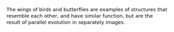 The wings of birds and butterflies are examples of structures that resemble each other, and have similar function, but are the result of parallel evolution in separately images.