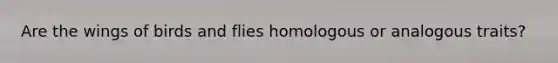 Are the wings of birds and flies homologous or analogous traits?