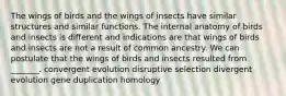 The wings of birds and the wings of insects have similar structures and similar functions. The internal anatomy of birds and insects is different and indications are that wings of birds and insects are not a result of common ancestry. We can postulate that the wings of birds and insects resulted from _______. convergent evolution disruptive selection divergent evolution gene duplication homology