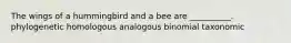 The wings of a hummingbird and a bee are __________. phylogenetic homologous analogous binomial taxonomic