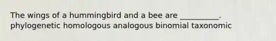 The wings of a hummingbird and a bee are __________. phylogenetic homologous analogous binomial taxonomic