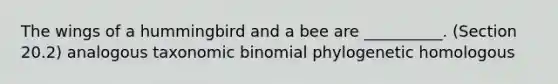 The wings of a hummingbird and a bee are __________. (Section 20.2) analogous taxonomic binomial phylogenetic homologous