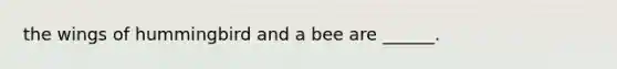 the wings of hummingbird and a bee are ______.