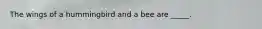 The wings of a hummingbird and a bee are _____.