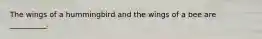The wings of a hummingbird and the wings of a bee are __________.