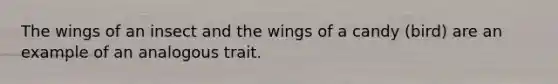 The wings of an insect and the wings of a candy (bird) are an example of an analogous trait.