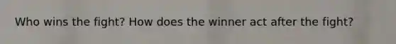 Who wins the fight? How does the winner act after the fight?