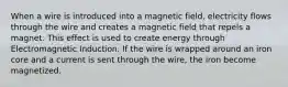 When a wire is introduced into a magnetic field, electricity flows through the wire and creates a magnetic field that repels a magnet. This effect is used to create energy through Electromagnetic Induction. If the wire is wrapped around an iron core and a current is sent through the wire, the iron become magnetized.