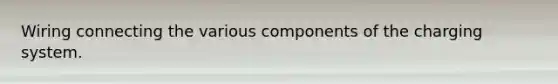 Wiring connecting the various components of the charging system.