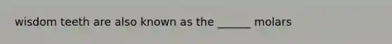 wisdom teeth are also known as the ______ molars