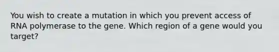 You wish to create a mutation in which you prevent access of RNA polymerase to the gene. Which region of a gene would you target?