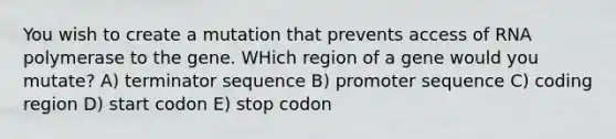 You wish to create a mutation that prevents access of RNA polymerase to the gene. WHich region of a gene would you mutate? A) terminator sequence B) promoter sequence C) coding region D) start codon E) stop codon