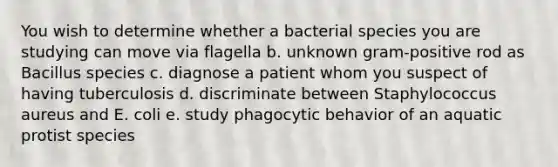 You wish to determine whether a bacterial species you are studying can move via flagella b. unknown gram-positive rod as Bacillus species c. diagnose a patient whom you suspect of having tuberculosis d. discriminate between Staphylococcus aureus and E. coli e. study phagocytic behavior of an aquatic protist species