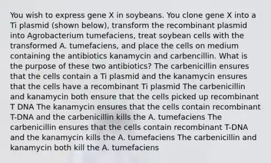 You wish to express gene X in soybeans. You clone gene X into a Ti plasmid (shown below), transform the recombinant plasmid into Agrobacterium tumefaciens, treat soybean cells with the transformed A. tumefaciens, and place the cells on medium containing the antibiotics kanamycin and carbencillin. What is the purpose of these two antibiotics? The carbenicillin ensures that the cells contain a Ti plasmid and the kanamycin ensures that the cells have a recombinant Ti plasmid The carbenicillin and kanamycin both ensure that the cells picked up recombinant T DNA The kanamycin ensures that the cells contain recombinant T-DNA and the carbenicillin kills the A. tumefaciens The carbenicillin ensures that the cells contain recombinant T-DNA and the kanamycin kills the A. tumefaciens The carbenicillin and kanamycin both kill the A. tumefaciens