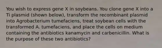 You wish to express gene X in soybeans. You clone gene X into a Ti plasmid (shown below), transform the recombinant plasmid into Agrobacterium tumefaciens, treat soybean cells with the transformed A. tumefaciens, and place the cells on medium containing the antibiotics kanamycin and carbenicillin. What is the purpose of these two antibiotics?