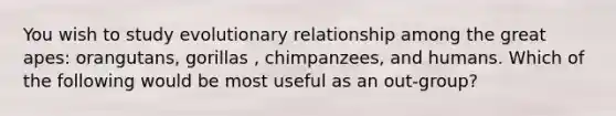 You wish to study evolutionary relationship among the great apes: orangutans, gorillas , chimpanzees, and humans. Which of the following would be most useful as an out-group?