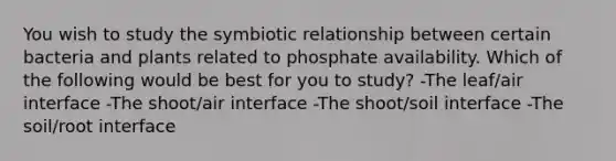 You wish to study the symbiotic relationship between certain bacteria and plants related to phosphate availability. Which of the following would be best for you to study? -The leaf/air interface -The shoot/air interface -The shoot/soil interface -The soil/root interface