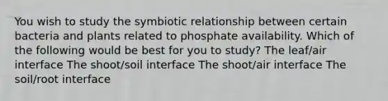 You wish to study the symbiotic relationship between certain bacteria and plants related to phosphate availability. Which of the following would be best for you to study? The leaf/air interface The shoot/soil interface The shoot/air interface The soil/root interface