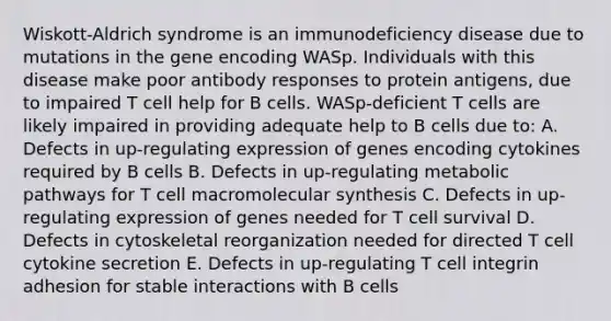 Wiskott-Aldrich syndrome is an immunodeficiency disease due to mutations in the gene encoding WASp. Individuals with this disease make poor antibody responses to protein antigens, due to impaired T cell help for B cells. WASp-deficient T cells are likely impaired in providing adequate help to B cells due to: A. Defects in up-regulating expression of genes encoding cytokines required by B cells B. Defects in up-regulating metabolic pathways for T cell macromolecular synthesis C. Defects in up-regulating expression of genes needed for T cell survival D. Defects in cytoskeletal reorganization needed for directed T cell cytokine secretion E. Defects in up-regulating T cell integrin adhesion for stable interactions with B cells