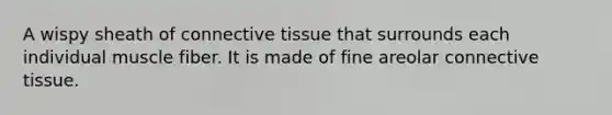 A wispy sheath of <a href='https://www.questionai.com/knowledge/kYDr0DHyc8-connective-tissue' class='anchor-knowledge'>connective tissue</a> that surrounds each individual muscle fiber. It is made of fine areolar connective tissue.