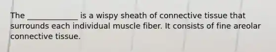 The _____________ is a wispy sheath of connective tissue that surrounds each individual muscle fiber. It consists of fine areolar connective tissue.